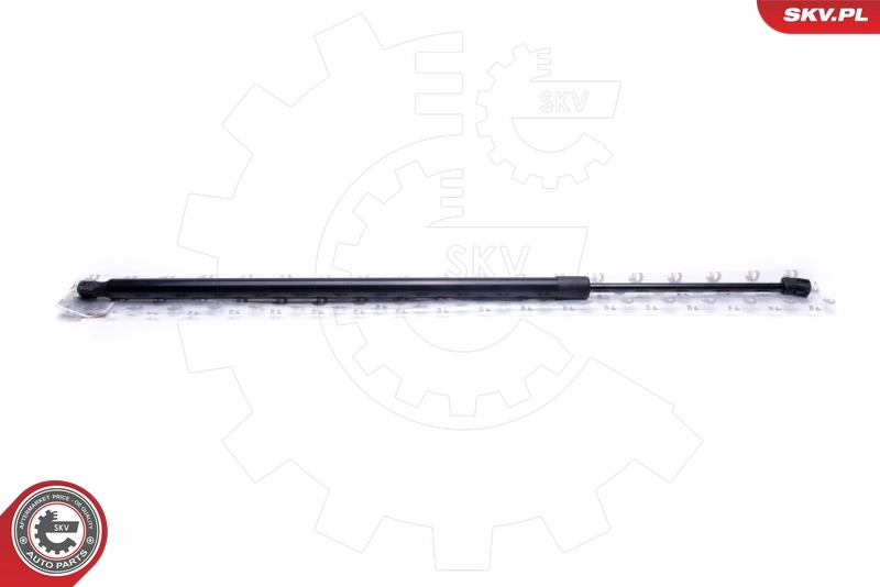Gas Spring, boot/cargo area